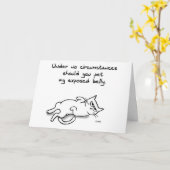 Pet niemals den Katzenbauch - Funny Cat Grußkarte Karte (Gelbe Blume)