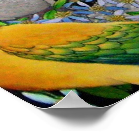 Pet Parrots of the World Poster (Ecke)