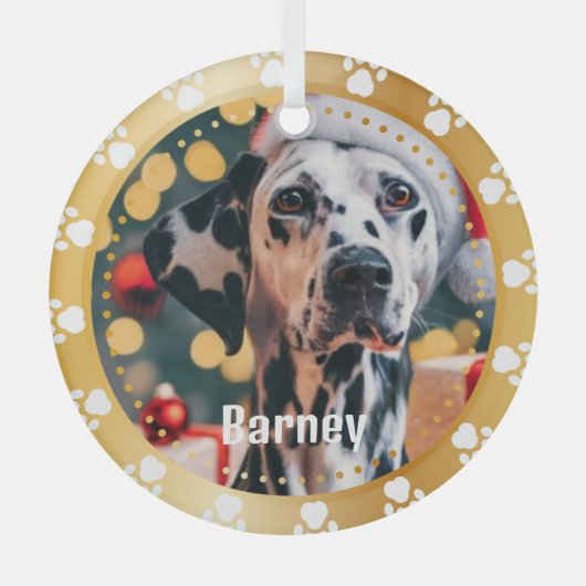 Pet Paw druckt Personalisiertes Pet Name Foto Ornament Aus Glas (Vorderseite)