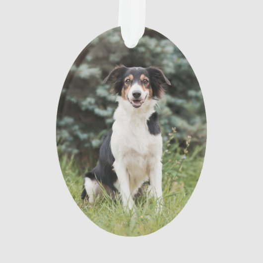 Pet Paw Print Personalisiert Gold Pet Name Foto Ornament (Rückseite)