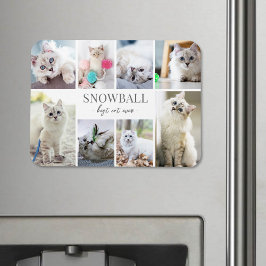 Pet Photo Collage Magnet