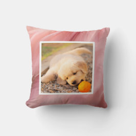 Pet photo - corral Dekokissen