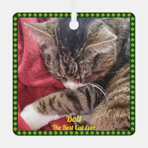 Pet Photo Green Gold Border Name Saying Ornament Aus Metall