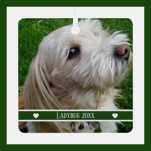 Pet Photo Ornament with Custom Name and Year