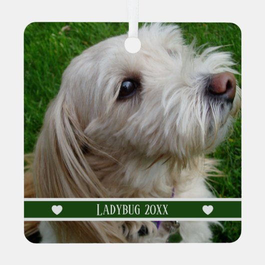 Pet Photo Ornament with Custom Name and Year (Rückseite)