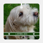 Pet Photo Ornament with Custom Name and Year (Vorderseite)