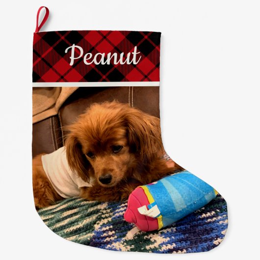 Pet Photo Red Plaid Reversible Personalized Großer Weihnachtsstrumpf (Vorderseite)