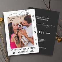 Pet Photo Simple Wedding Save the Date Online