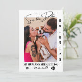 Pet Photo Simple Wedding Save the Date Online Einladung (Stehend Vorderseite)