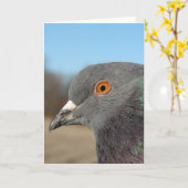 Pet Pigeon Karte (Gelbe Blume)