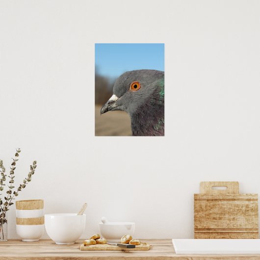 Pet Pigeon Poster (Küche)