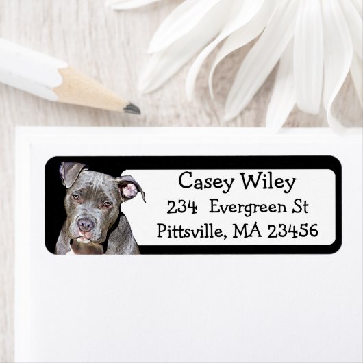 Pet Pitbull Hundeadresse (Insitu)