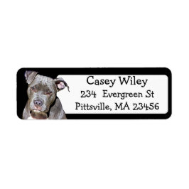 Pet Pitbull Hundeadresse