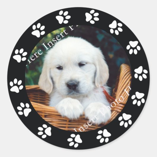 Pet Puppy Dow Paw Print Border Frame Aufkleber Eti (Vorderseite)