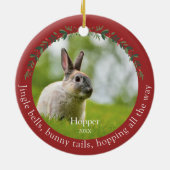 Pet Rabbit Bunny Foto Christmas Keramik Ornament (Hinten)