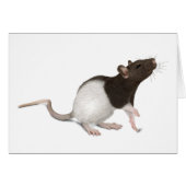 Pet Rat Painting (Vorderseite (Horizontal))