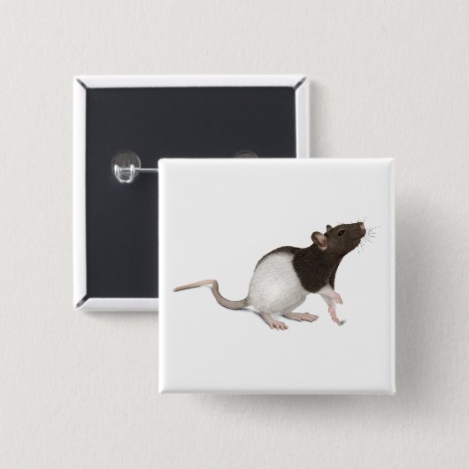 Pet Rat Painting Button (Vorne & Hinten)