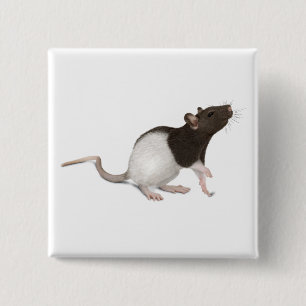 Pet Rat Painting Button