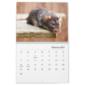 Pet Rats Wall Calendar Kalender (Feb 2027)