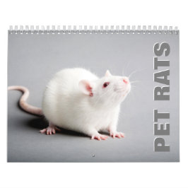 Pet Rats Wall Calendar Kalender
