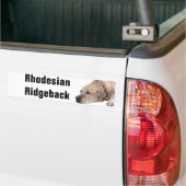 Pet Rhodesian Ridgeback Dog Picture Autoaufkleber (Auf Lkw)