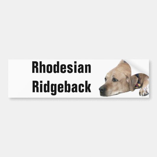 Pet Rhodesian Ridgeback Dog Picture Autoaufkleber (Vorne)