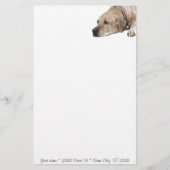 Pet Rhodesian Ridgeback Dog Picture Briefpapier (Vorderseite)