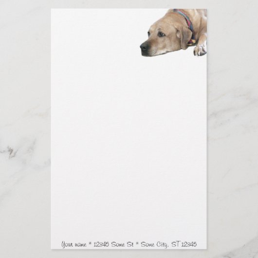 Pet Rhodesian Ridgeback Dog Picture Briefpapier (Vorderseite)