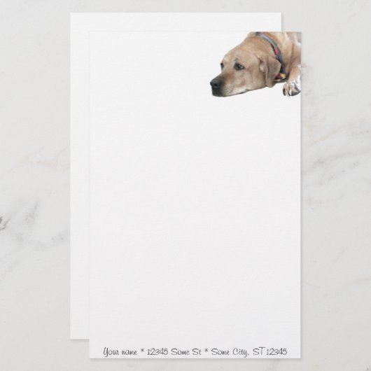 Pet Rhodesian Ridgeback Dog Picture Briefpapier (Vorne/Hinten)