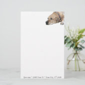 Pet Rhodesian Ridgeback Dog Picture Briefpapier (Stehend Vorderseite)