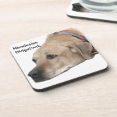 Pet Rhodesian Ridgeback Dog Picture Getränkeuntersetzer (Linke Seite)