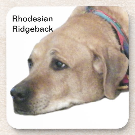 Pet Rhodesian Ridgeback Dog Picture Getränkeuntersetzer (Vorderseite)