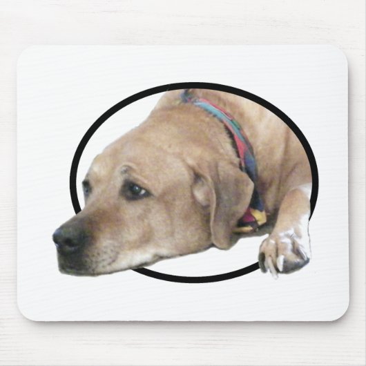 Pet Rhodesian Ridgeback Dog Picture Mousepad (Vorne)