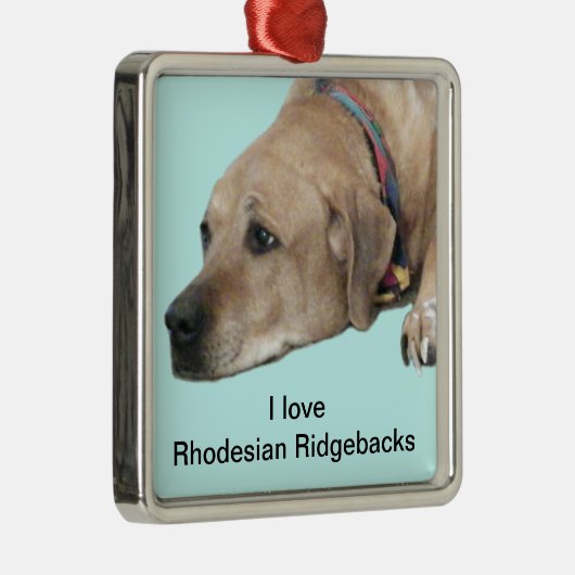 Pet Rhodesian Ridgeback Dog Picture Silbernes Ornament (Rechts)