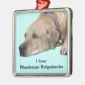 Pet Rhodesian Ridgeback Dog Picture Silbernes Ornament (Links)