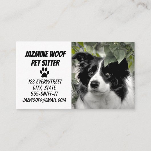 Pet Sitter Dog Walker Visitenkarte (Vorderseite)