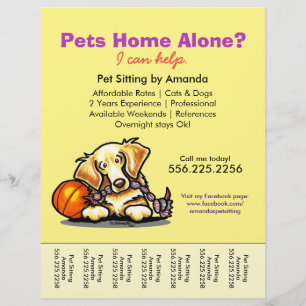 Pet Sitter und Golden Retriever Reißblech Flyer