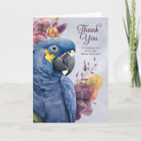 Pet Sitter Vielen Dank Hyacinth Macaw Paprot Custo