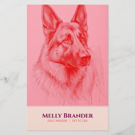 Pet Sitter Walker Flyer (Vorne)