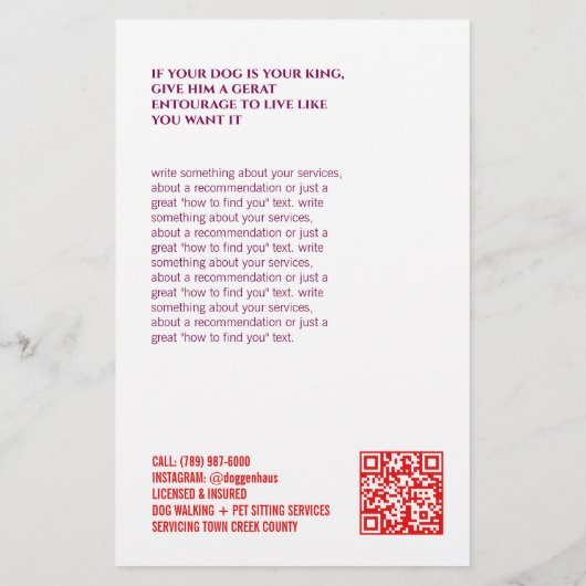 Pet Sitter Walker Flyer (Hinten)