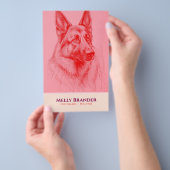 Pet Sitter Walker Flyer (Handgriff)