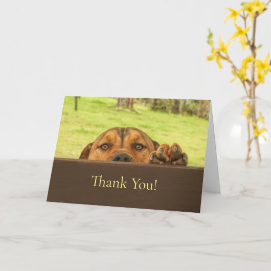 Pet Sitting Niedlich Pit Bull Vielen Dank Karte (Gelbe Blume)