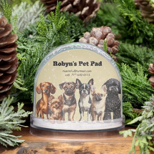 Pet Sitting Snow Globe Schneekugeln (Winter)