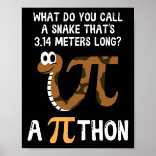 Pet Snake Math Pi Day Python Poster