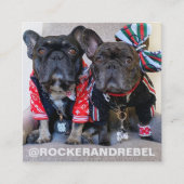 Pet Star | Modernes Minimalistisches Foto und einf Quadratische Visitenkarte (Vorderseite)