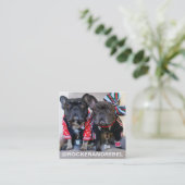 Pet Star | Modernes Minimalistisches Foto und einf Quadratische Visitenkarte (Stehend Vorderseite)