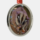 Pet Sugar Glider Ornament Aus Metall (Rechts)