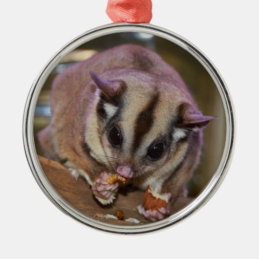 Pet Sugar Glider Ornament Aus Metall (Vorne)