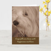 Pet Sympathy Card—Sepia White Dog Karte (Gelbe Blume)