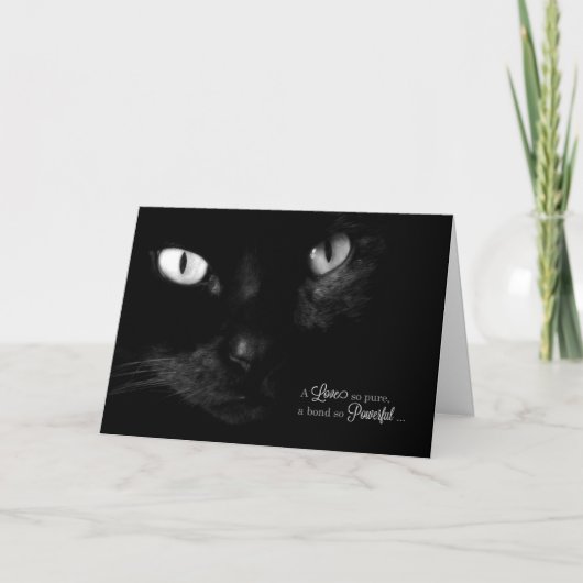 Pet Sympathy for Loss of a Cat - Black Cat Karte (Vorderseite)